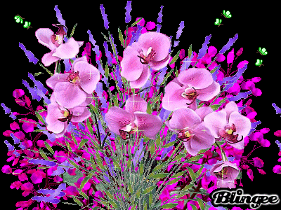Bouquet d'Orchides et petites fleurs