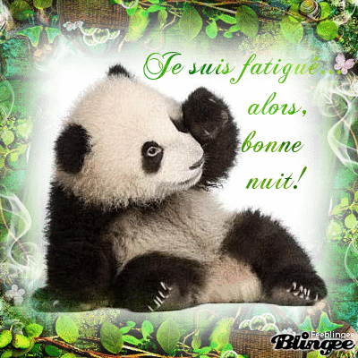 Panda "Bonne nuit"