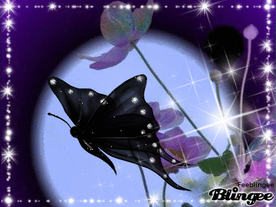 Papillon noir transparent