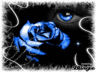 Regard et rose bleue sur fond noir