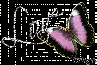 Papillon "Love"sur fond noir