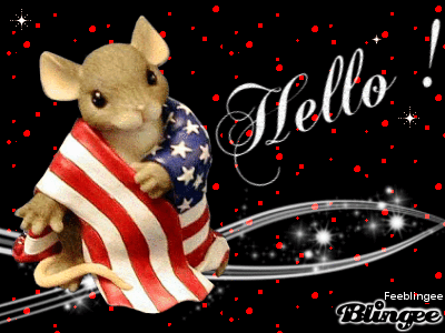 Souris et drapeau Américain "Hello!"