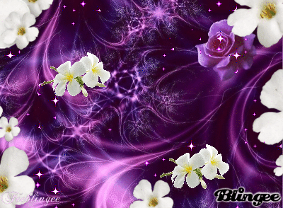 Petites fleurs blanches et fond violet