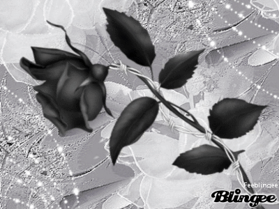Rose noire entourée de barbelé
