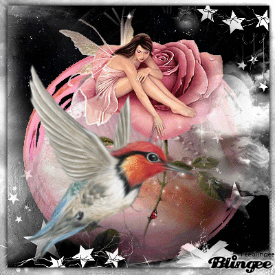 Colibri et belle fée