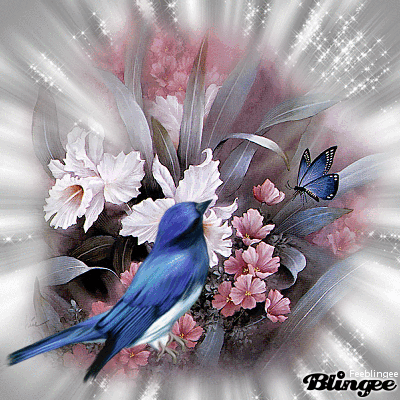 Belle oiseau,fleurs et papillon